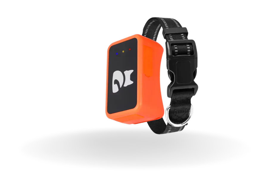 KittyFind GPS Collar